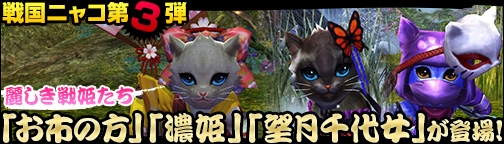 バンドラ、麗しき戦場の猫姫「戦国ニャコ」の第3弾が実装―「迅雷の結晶」イベントも開催の画像