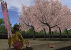 信長の野望 Online、“桜が咲誇る絶景”を実現する「春爛漫」イベントが4月23日より開催！