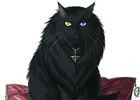 宵闇幻影奇譚、一年間の無病息災を願う「第3回華羅市猫投げ祭り」イベントが開催