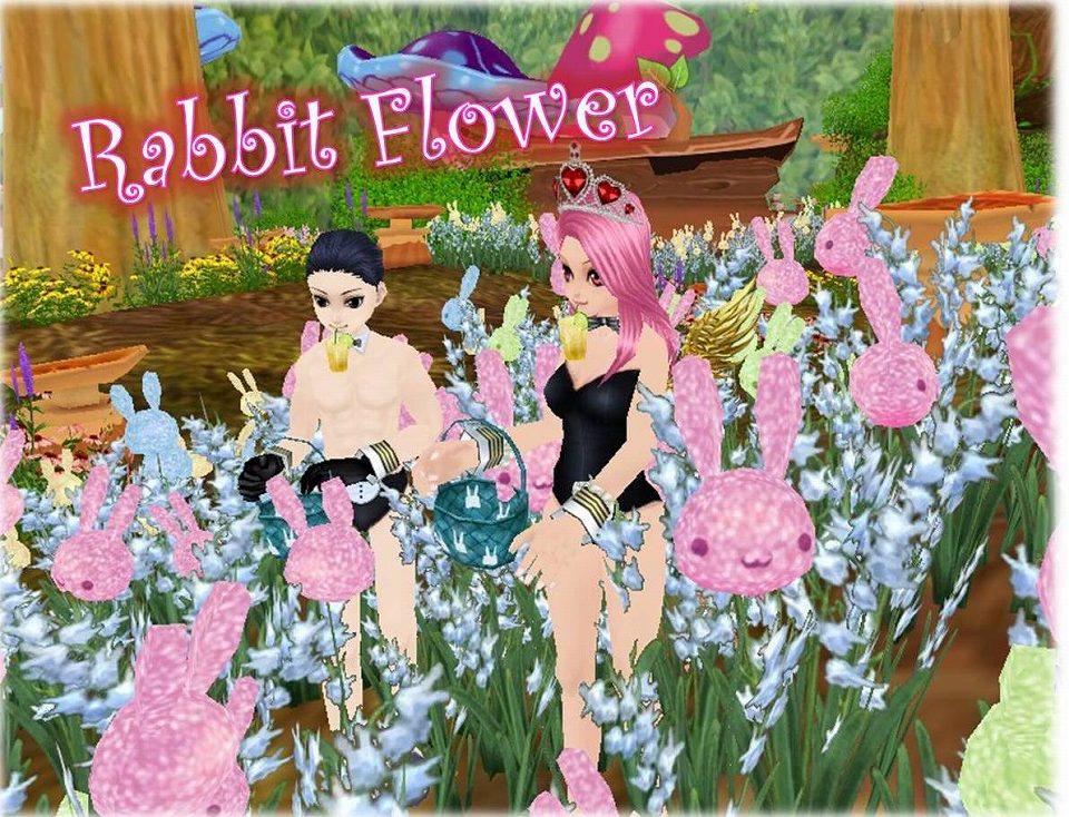 ミル、不思議な森「ワンダーフォレスト」イベント第2週目が開催！マイレージ2倍キャンペーンもの画像