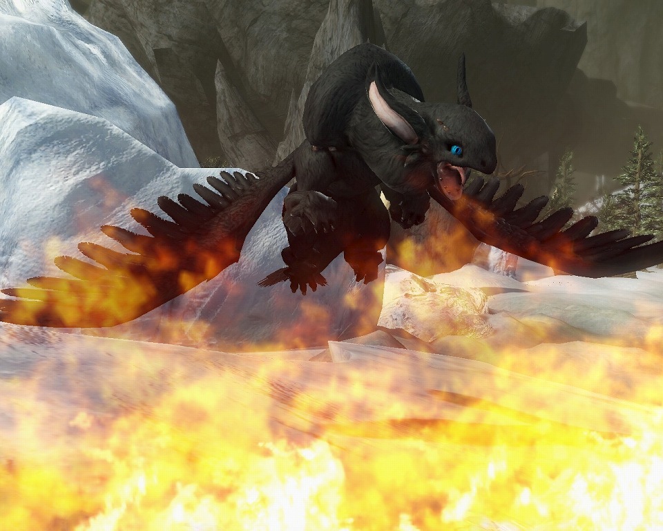 「ドラゴンズプロフェット」明日でサービス1周年！記念企画「メッセージキャンペーン」がスタートの画像