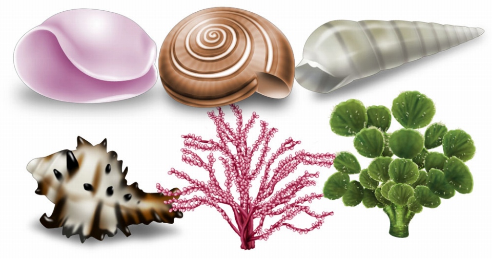 「キャラフレ」臨海学校イベントが開催―「夏フェスステージ」でライブイベントも実施の画像