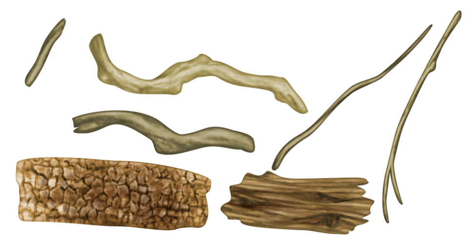 「キャラフレ」夏の思い出に流木工作ができる「海岸清掃イベント」が実施の画像