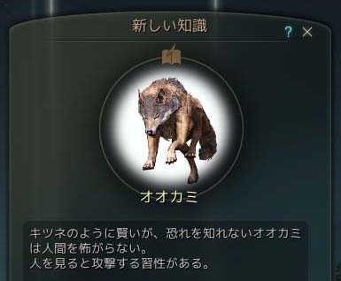 「黒い砂漠」見たもの触れたものが全て物語の糧となる！プレイヤーを導くシステム「知識」を紹介の画像