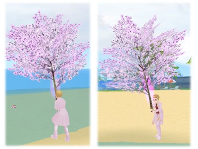 「ミル」もふもふカワイイ「レッサーパンダ」が限定ペットとして登場する「2015☆桜満開イベント～1週目～」が開催の画像