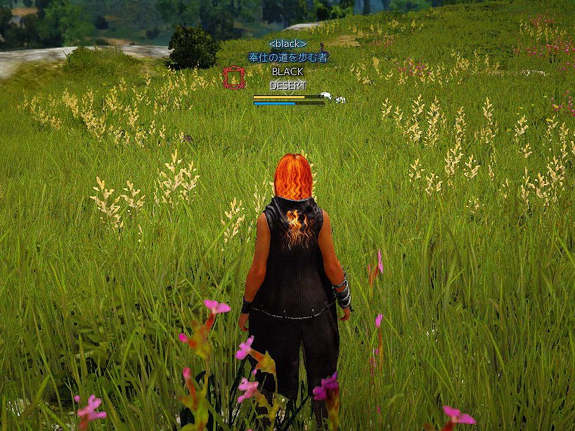 「黒い砂漠」5番目の新クラス「リトルサマナー」がオープンサービスから実装決定ー黒狼を召喚する神獣使いの画像