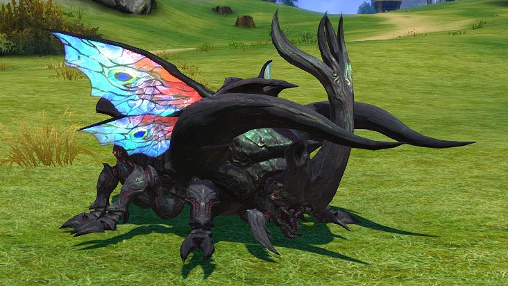 「TERA」水着や麦わら帽アバター、空飛ぶ絨毯が入手可能な夏にちなんだ2つのイベントが開催の画像