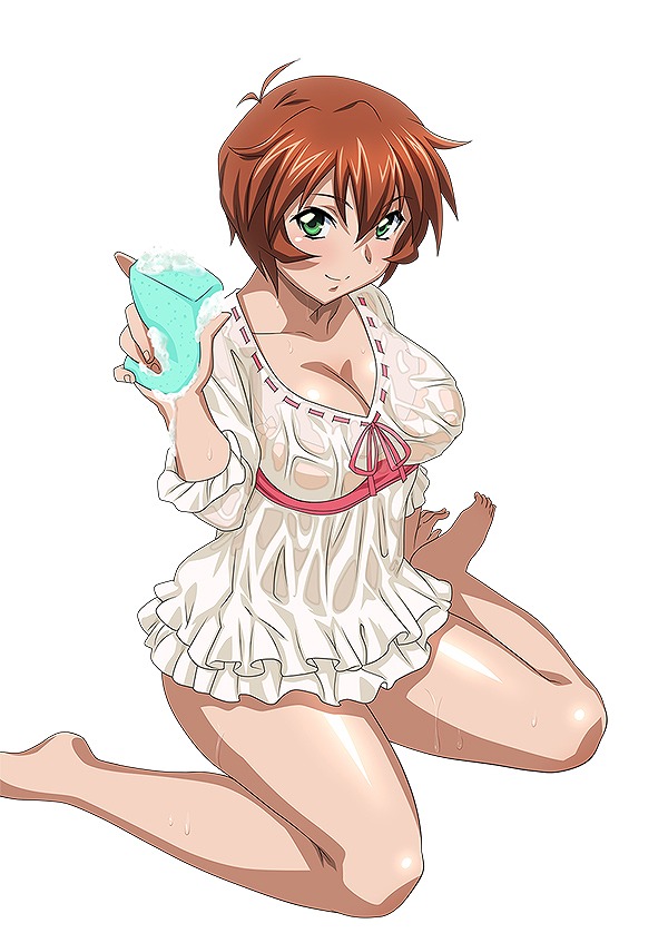 「ブラウザ一騎当千 爆乳争覇伝」透けた衣装が魅力的な闘士たちがラインナップした「ステップアップトーシダス煌」が登場！の画像