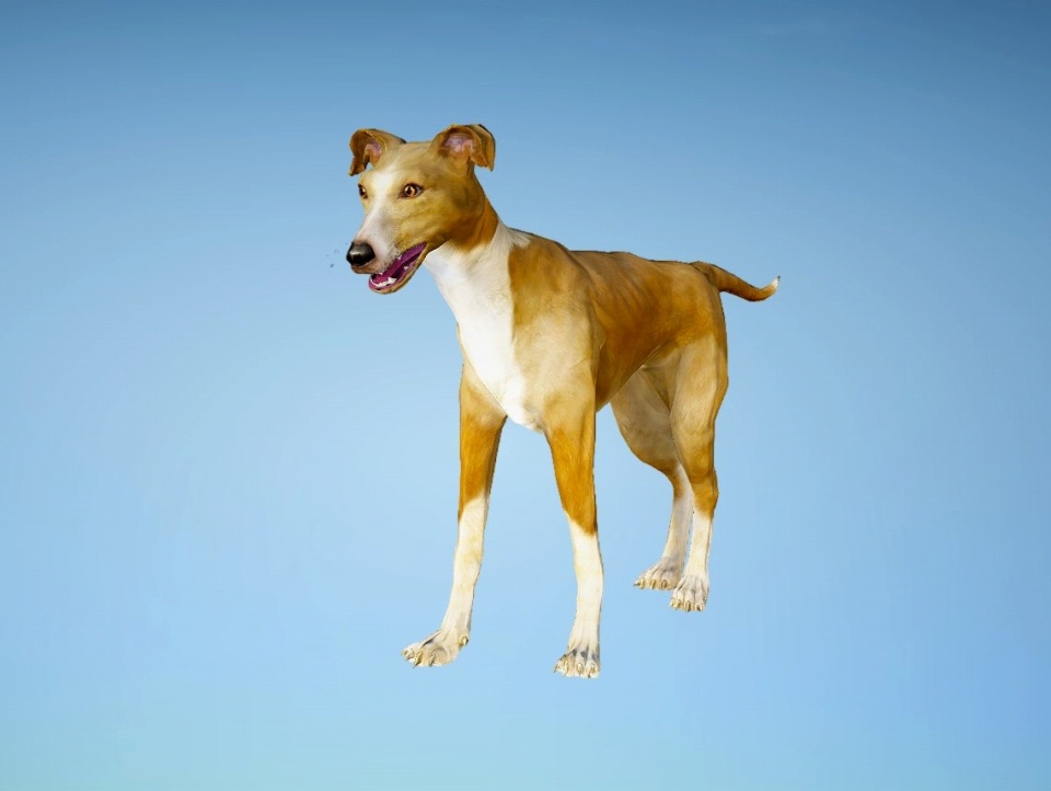 「黒い砂漠」新クラス「ウィザード」「ウィッチ」が追加！第2回キャラメイク選手権やWELCOMEキャンペーンも開催の画像