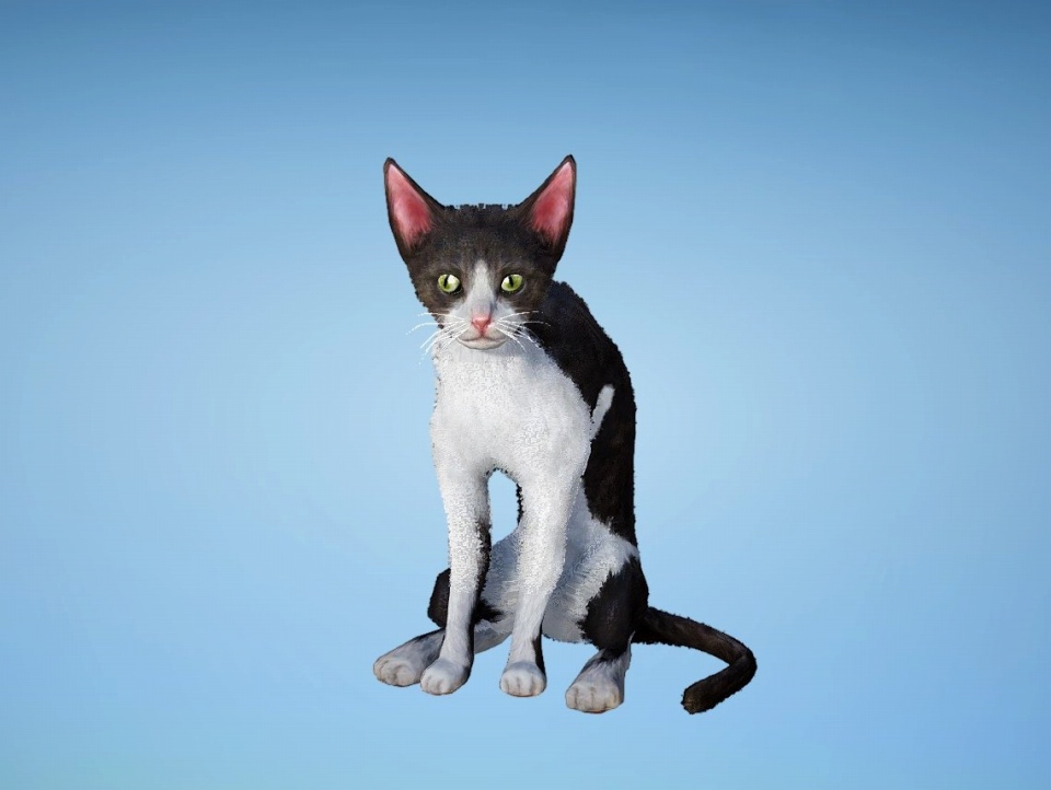 「黒い砂漠」新クラス「ウィザード」「ウィッチ」が追加！第2回キャラメイク選手権やWELCOMEキャンペーンも開催の画像