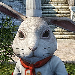 「イカロス オンライン」1人専用インスタンスダンジョン「挑戦の塔」が実装！料理イベント「ハカナス料理大会」も開始の画像