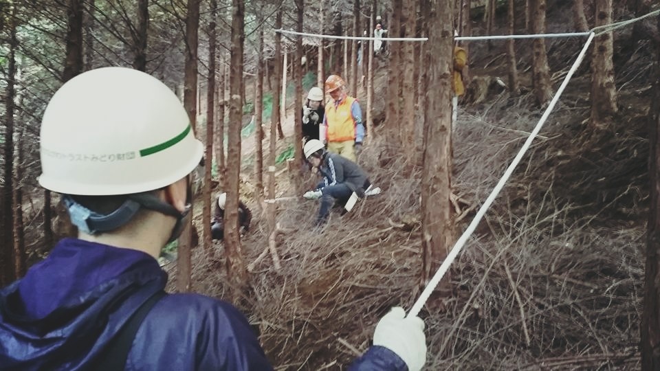 「アーキエイジ」森林再生パートナー活動に神奈川県知事から感謝状が授与の画像