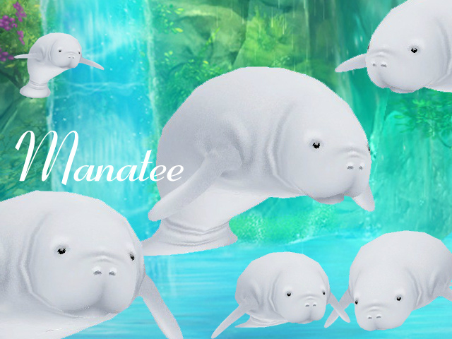 「ミル」限定ペット・マナティーが登場する「水と魔法のファンタジーイベント～2週目～」がスタート！の画像