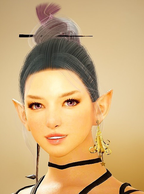 「黒い砂漠」2周年を記念した特別なログインキャンペーンが開催！10,000名に総額1,000万円のWebMoneyがプレゼントの画像