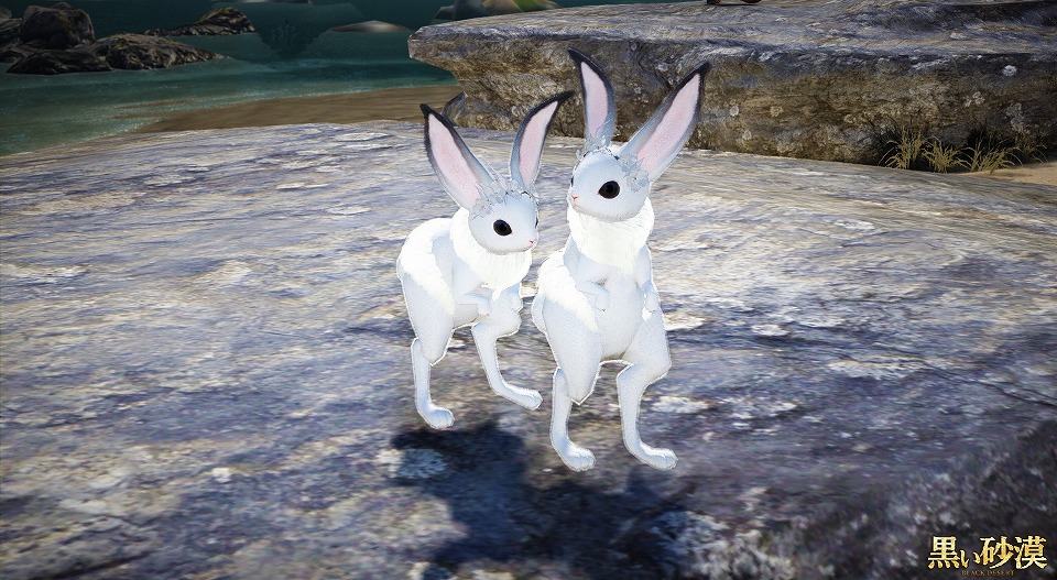 「黒い砂漠」2周年を記念した特別なログインキャンペーンが開催！10,000名に総額1,000万円のWebMoneyがプレゼントの画像