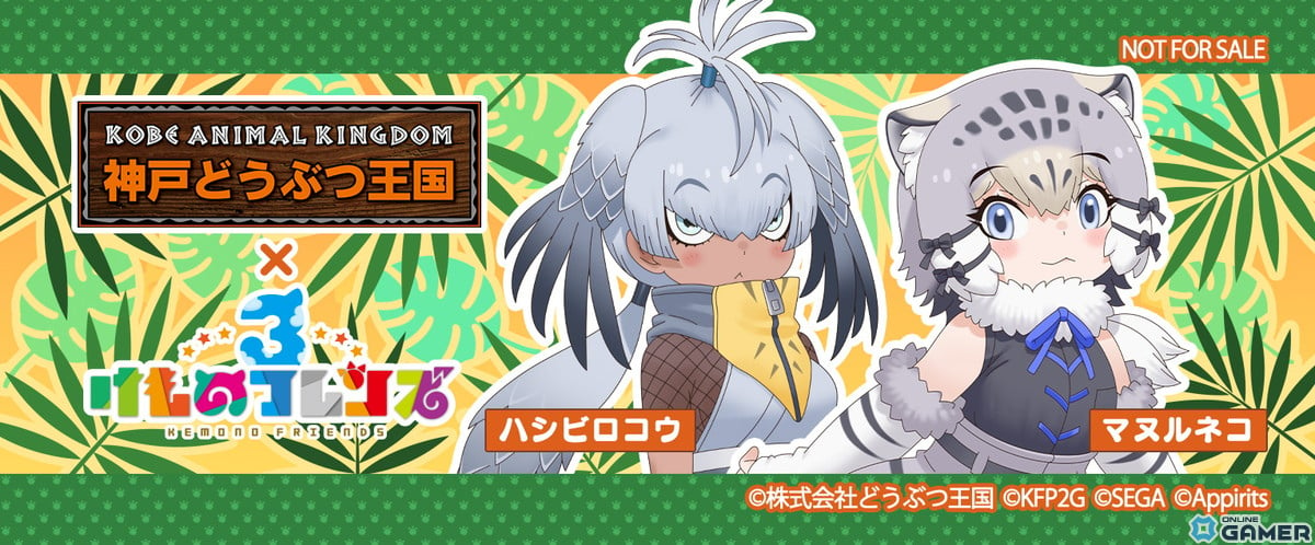 「けものフレンズ3」で「神戸どうぶつ王国」とのコラボイベントが10月18日より実施！【ジっとできない湿地のハンター】ハシビロコウたちが登場の画像