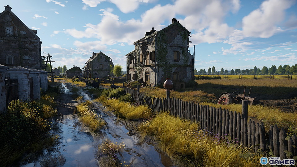 ポーランド（Poland）