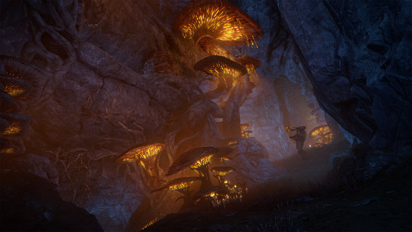 「Warframe」新クエスト「師範」&新Warframe「Nokko」登場!大型アップデート「峡谷のアンダーマインド」配信の画像