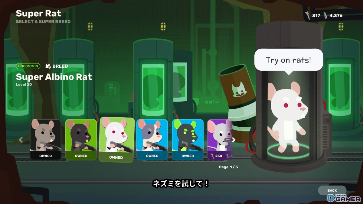 「Super Animal Royale」大型拡張「Super Animal World」配信！釣り・虫取り・レースなど新アクティビティ満載の画像