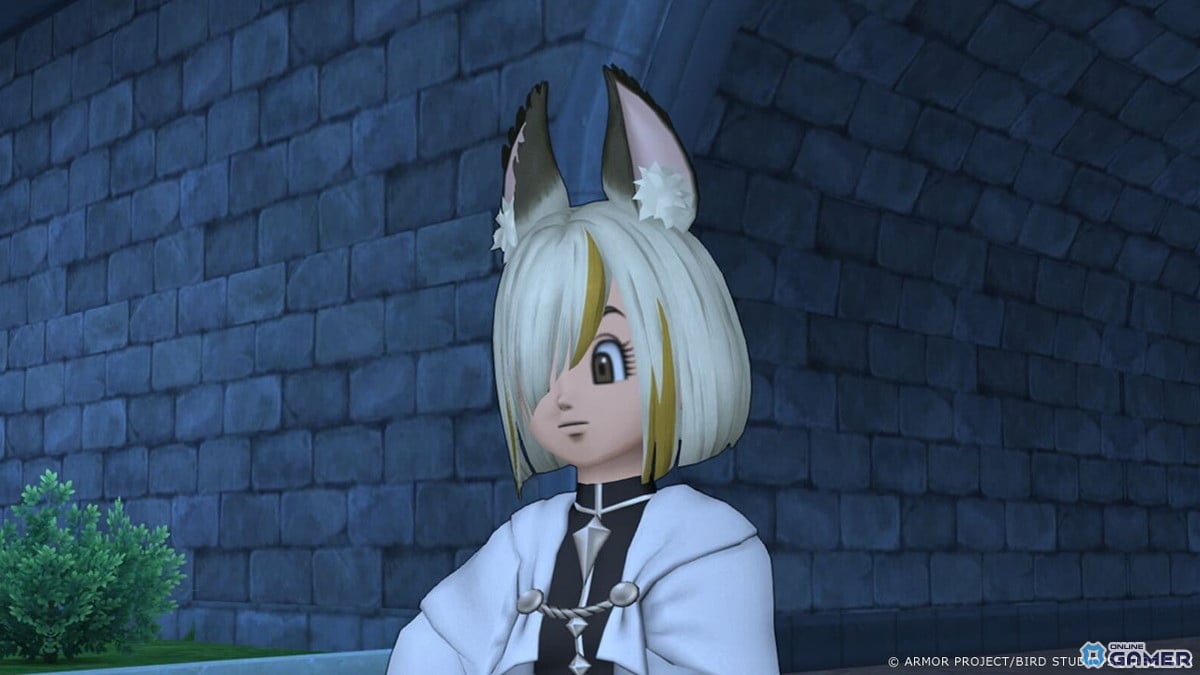 「ドラゴンクエストX」最新追加パッケージ「時空の迷い子たち」が2026年6月25日に発売決定！のスクリーンショット18