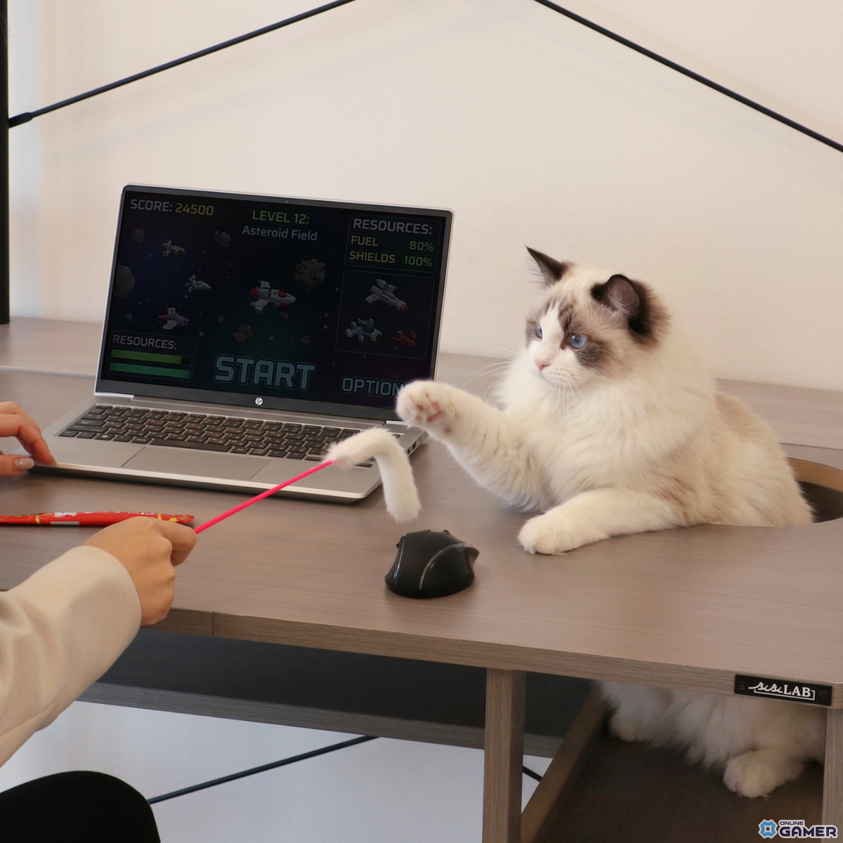 猫と一緒にPC作業できる「猫ハウスデスク」登場！ネコハラ対策の4つのにゃんギミック搭載のスクリーンショット6