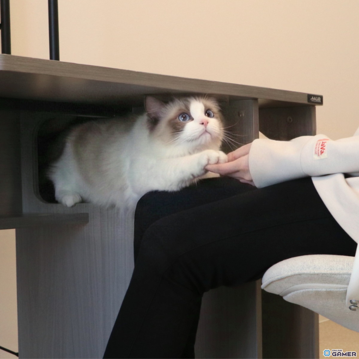 猫と一緒にPC作業できる「猫ハウスデスク」登場！ネコハラ対策の4つのにゃんギミック搭載のスクリーンショット7