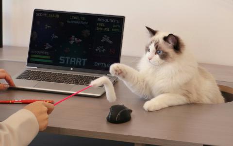 猫と一緒にPC作業できる「猫ハウスデスク」登場！ネコハラ対策の4つのにゃんギミック搭載