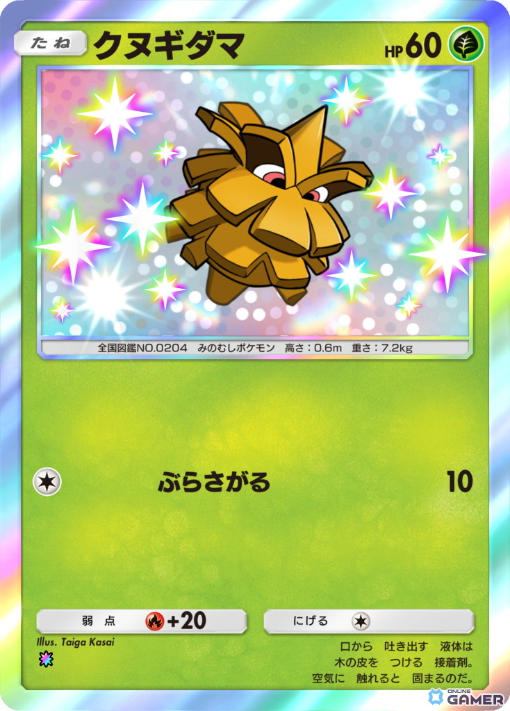 クヌギダマ【色ちがい1】