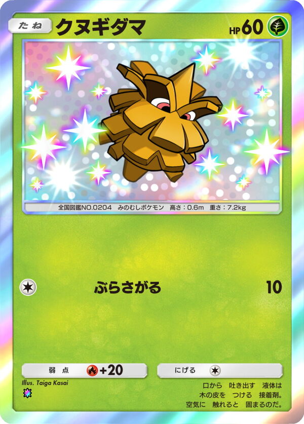 クヌギダマ【色ちがい1】