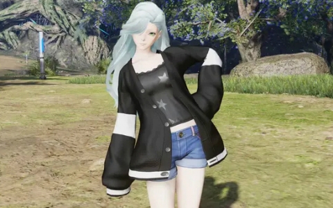 「PSO2 ニュージェネシス」新クエスト討将烈戦の闘技場追加！スタイリッシュアベニュー'26配信